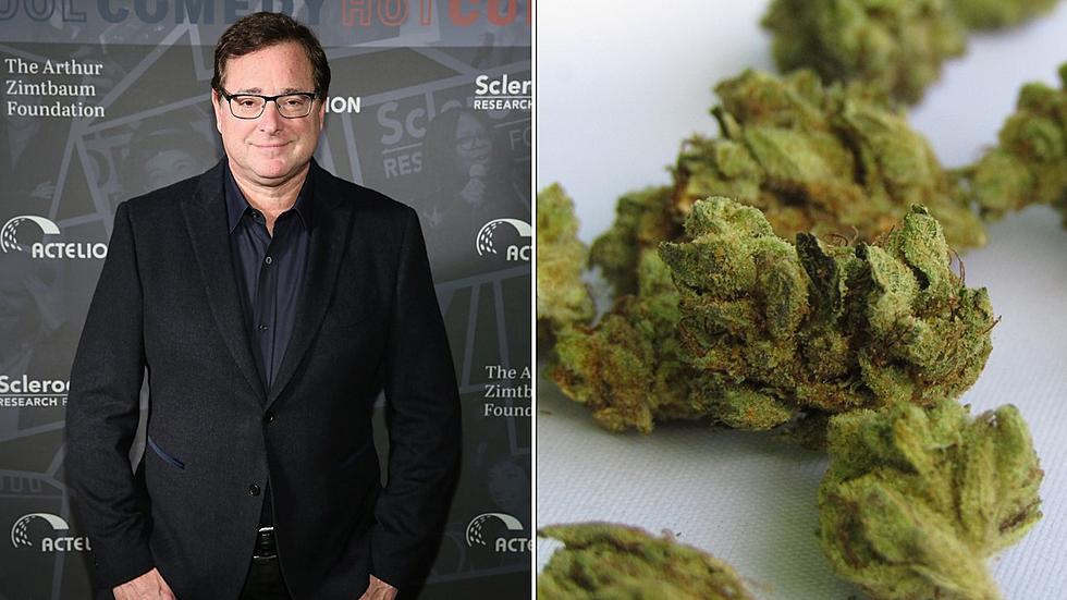 Funny, Man: ‘Bob Saget’ Strain Once Took 2nd at Colorado Pot Competition