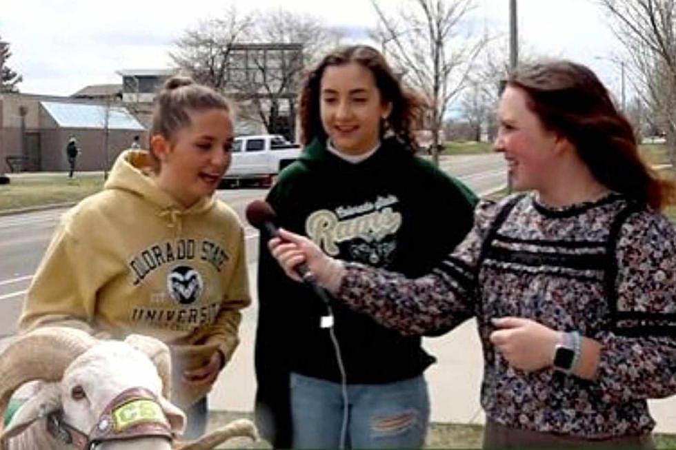 Watch CSU Students and Fans Try to Answer 3 Questions About CSU Football