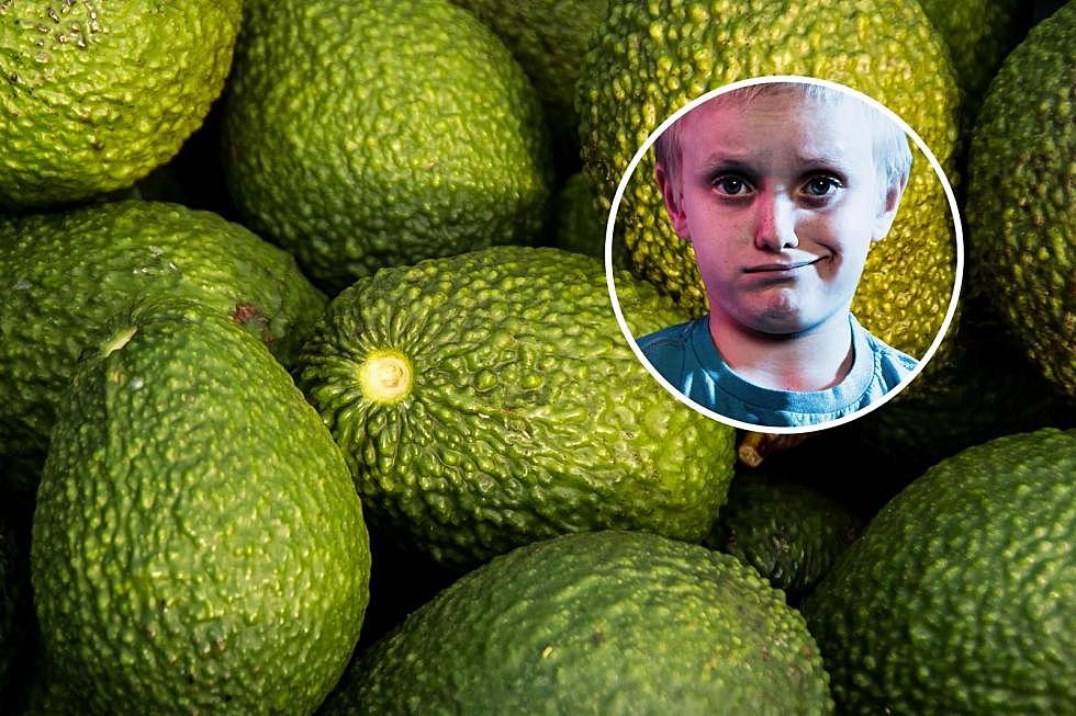 Wild Avocado Launching Contest in Nebraska Will Net One Team $5,000