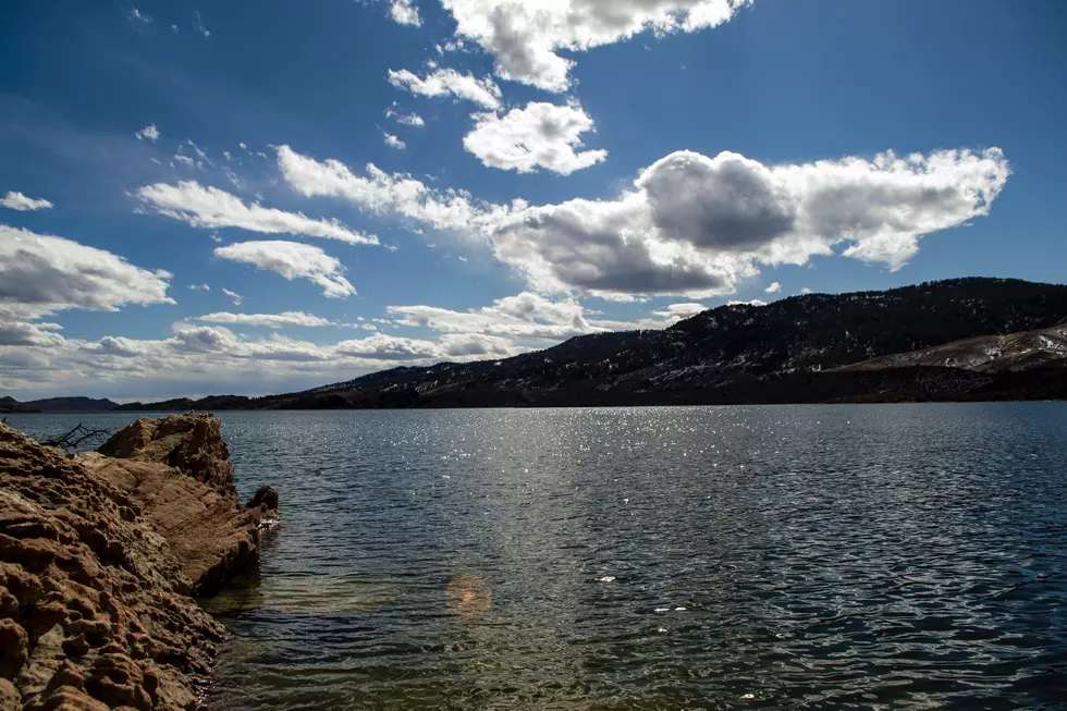 No Big Deal: Just a Rattlesnake Taking a Swim Across Horsetooth