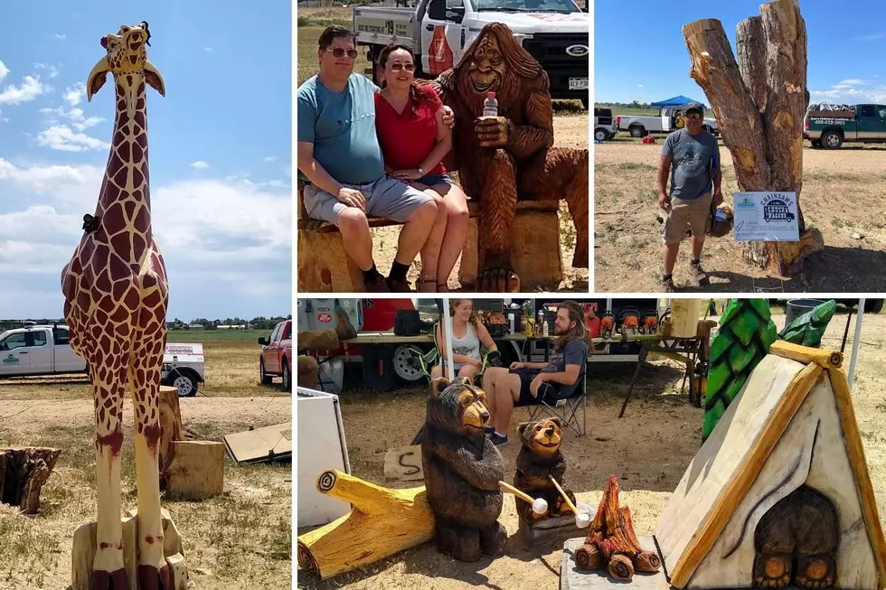 Fantastic Chainsaw Crafted Sculptures Created in Colorado