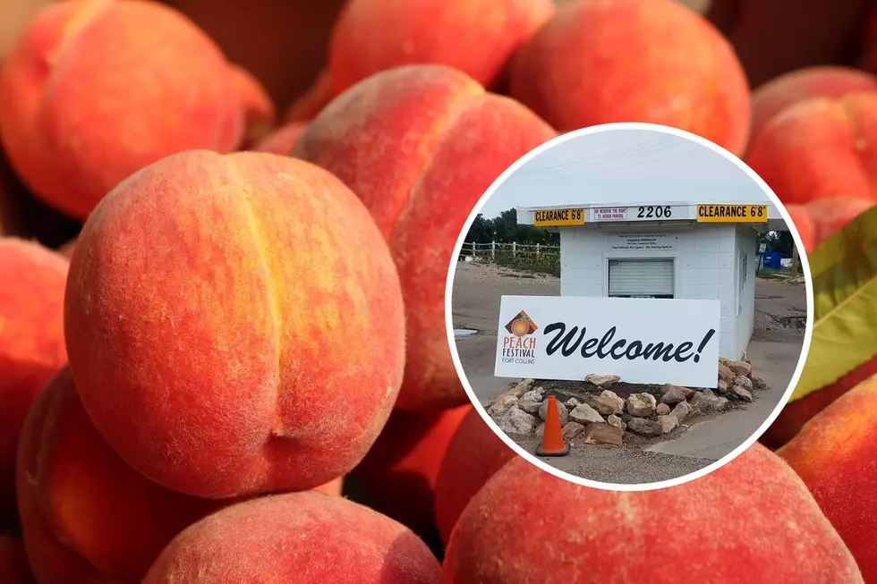 Fort Collins Peach Festival Coming to the Drive-In With Peachy Fun For All