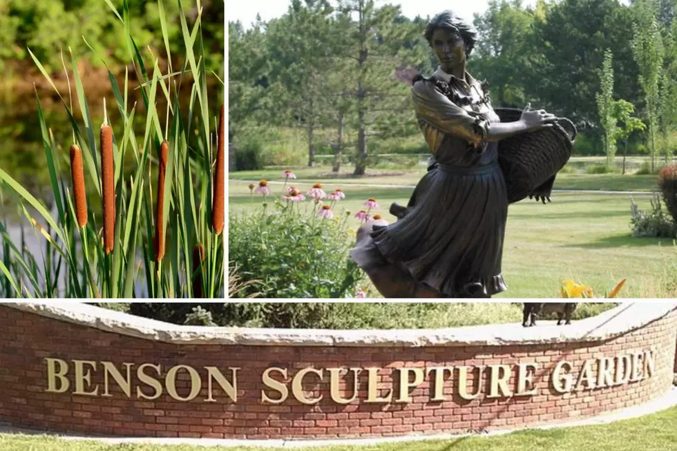 How Did Wonderful Benson Sculpture Garden in Loveland, Colorado, Get Its Name?