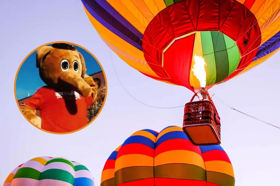 Fun Up High: Aims' 'Great Aardvark Embark' Hot Air Balloon Launch