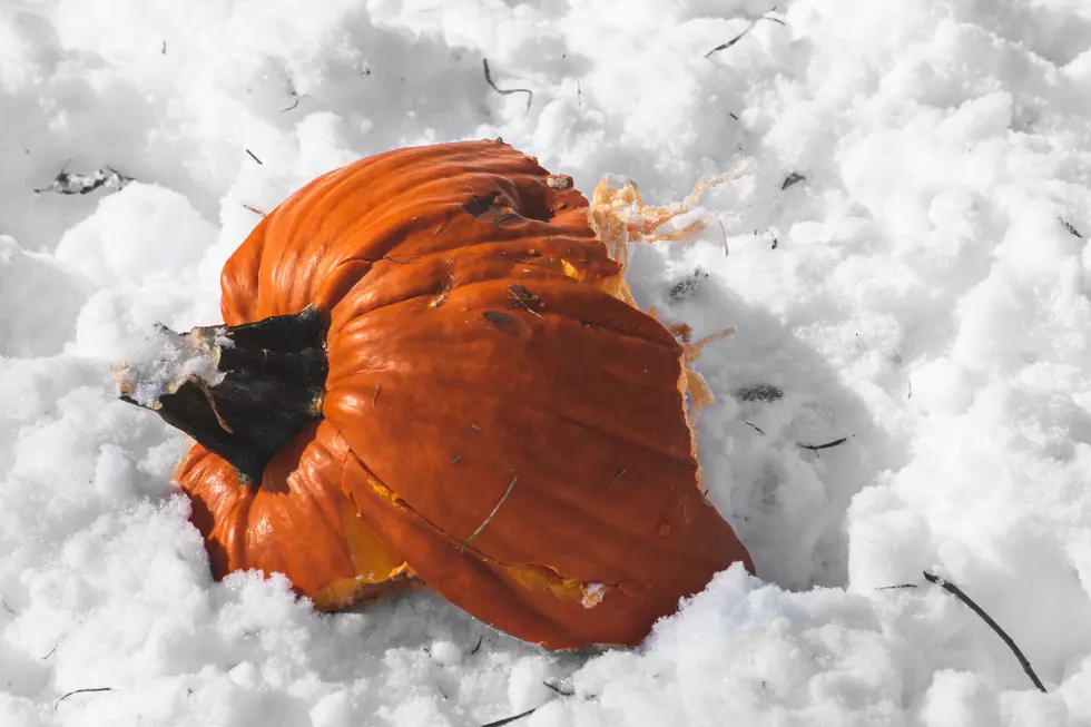 Fact or Myth: Will It Snow on Halloween in Northern Colorado?