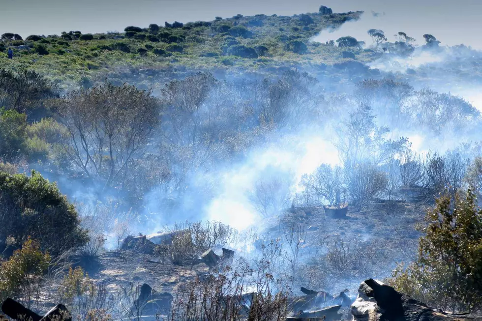 Wind, Dryness Spark Wildfire Near Boulder; Evacuations in Place