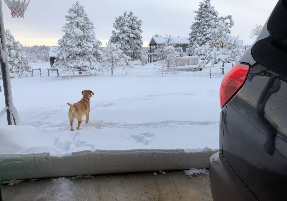 Could We See a Foot of Fresh Snow this Week in Fort Collins?