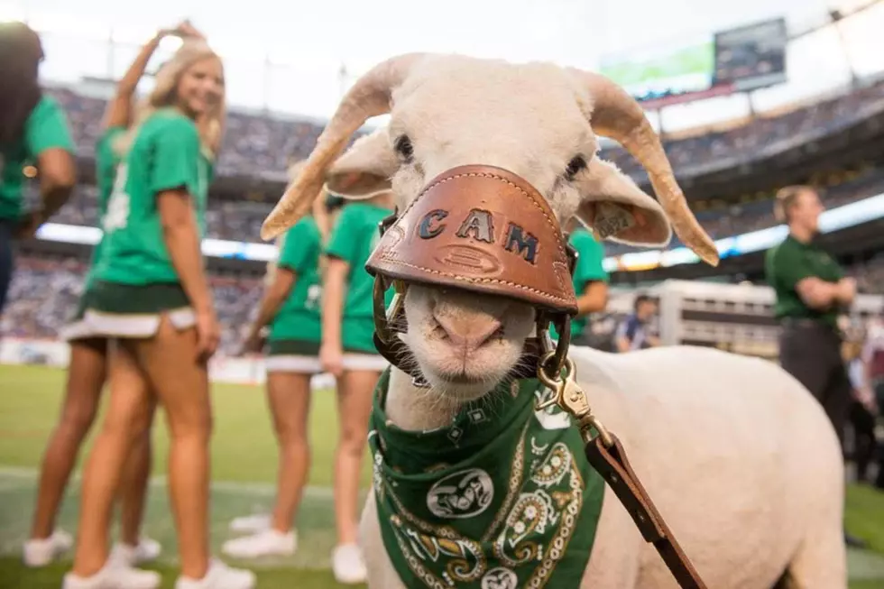 CAM-The-RAM