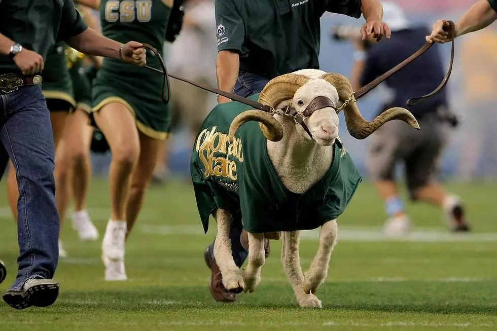 CAM-The-RAM
