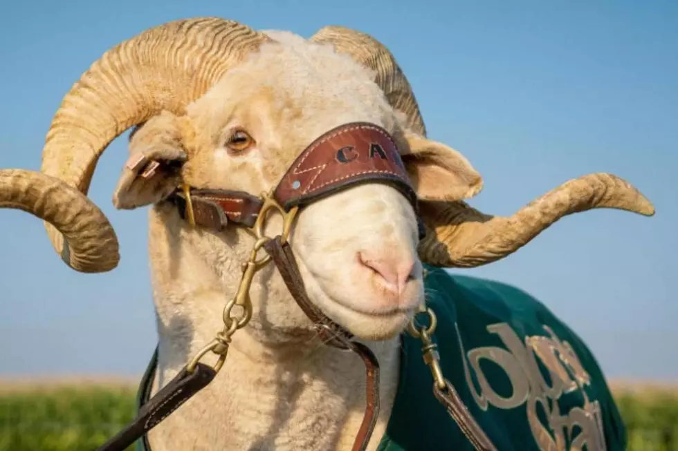 CAM-The-RAM