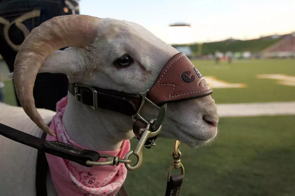 CAM-The-RAM