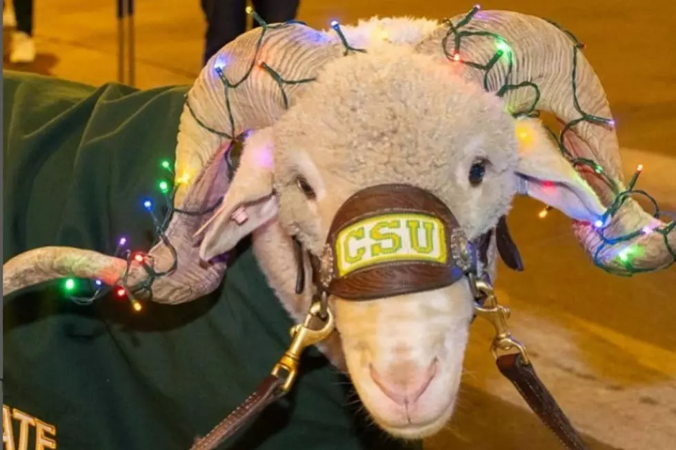 CAM-The-RAM