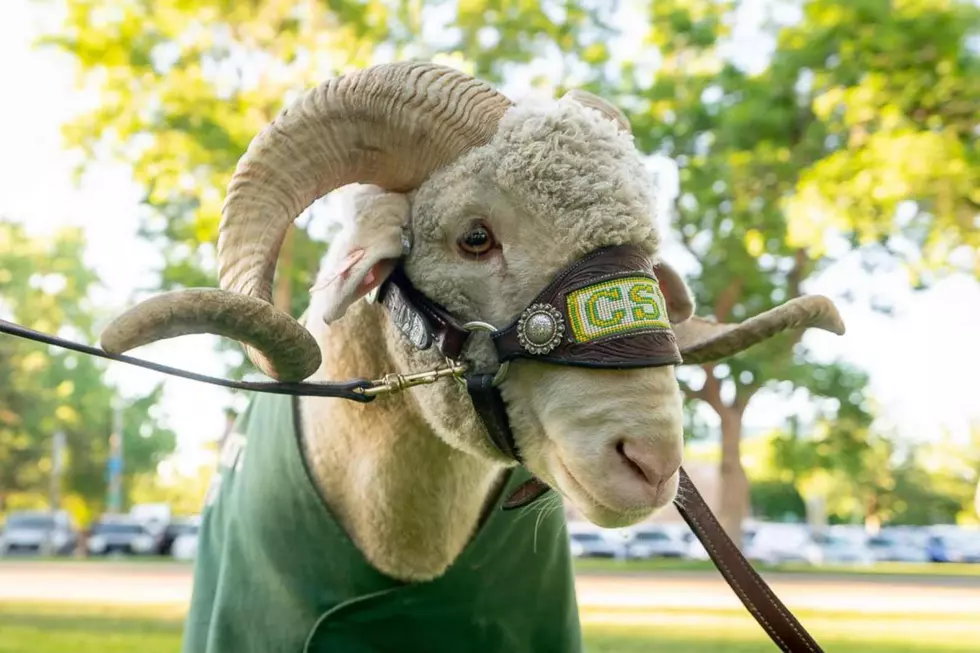 CAM-The-RAM