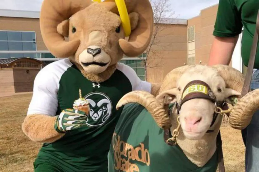 CAM-The-RAM
