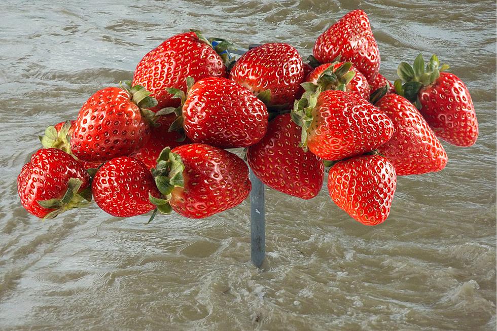 Strawberry Prices in Colorado May Rise Due to California Flooding
