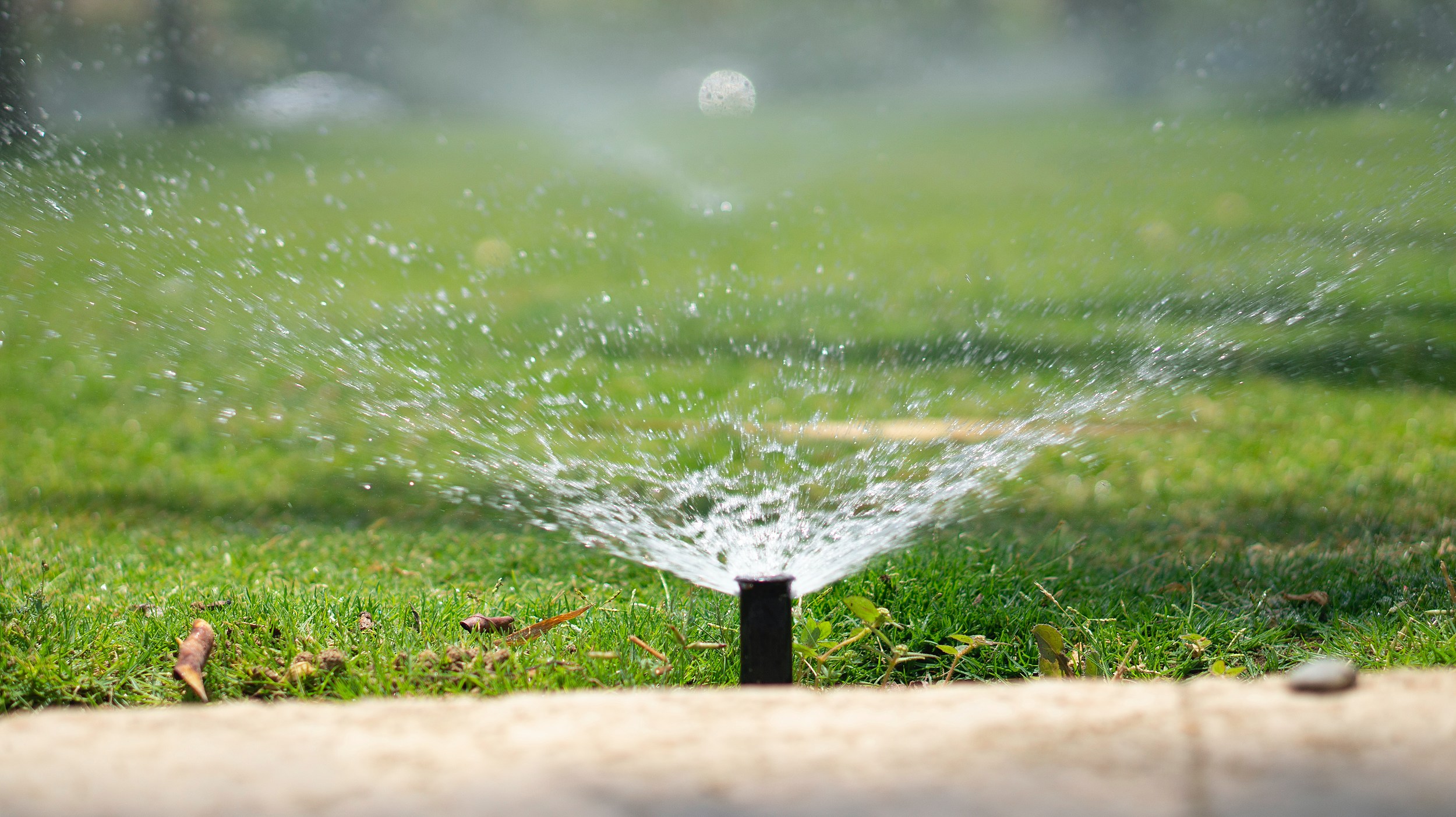 Colorado Asks: Should I Fire Up My Sprinkler System Now or Wait?