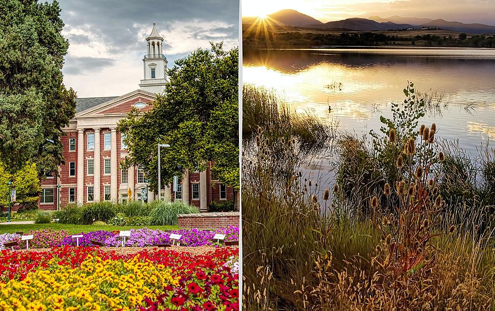 Fort Collins vs. Loveland: People Weigh In on Which Is Better