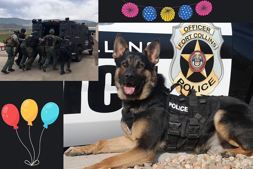 Bomb Squad, K9 and SWAT! Bring the Family for the First Responder Fair in Fort Collins