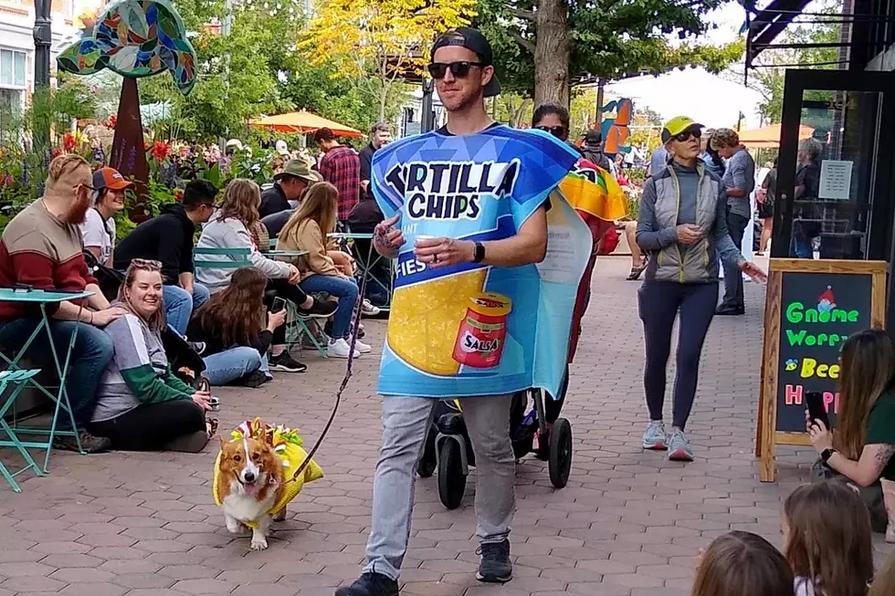 Tour-de-Fat-Tour-de-Corgi-Fort-Collins-Colorado
