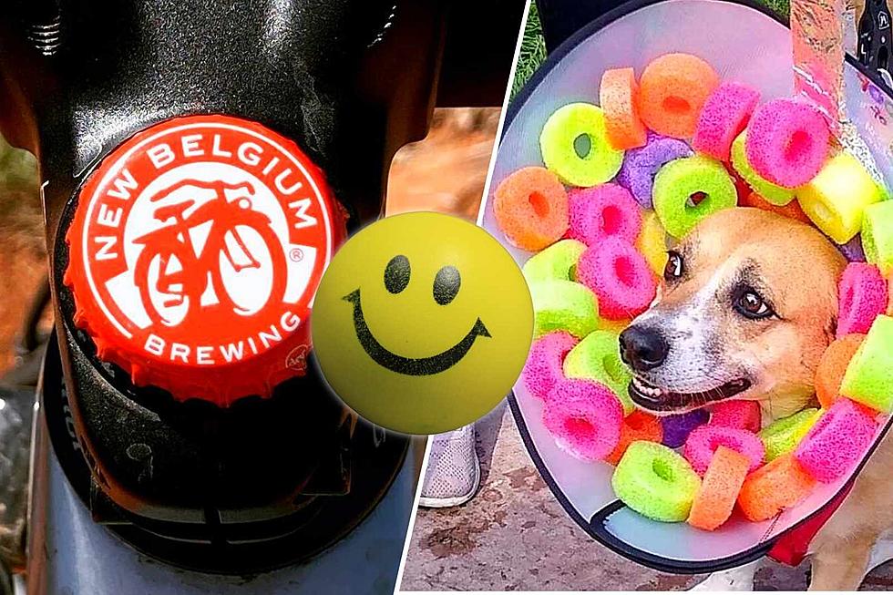 2 Classic Colorado Events Bring Beers, Bikes and Adorable Corgis to One Town