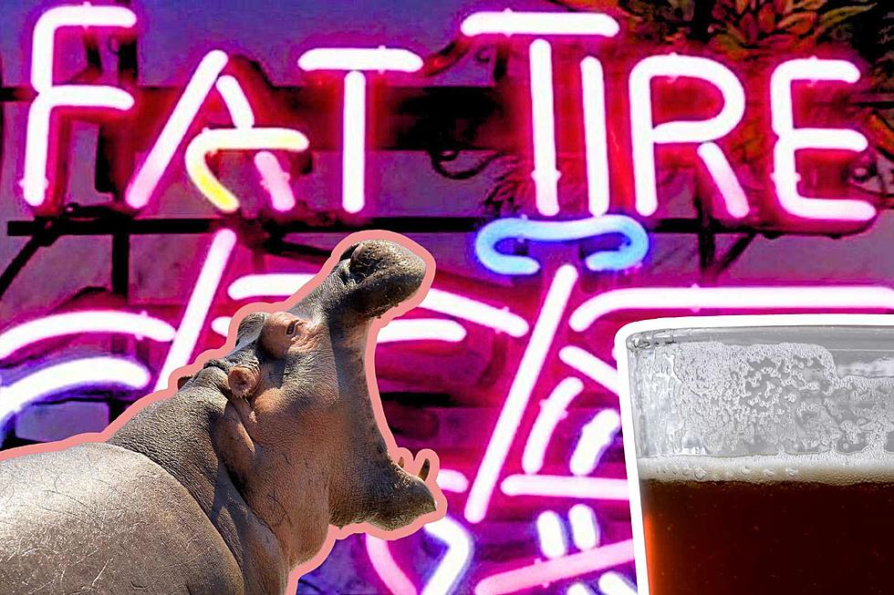 A ‘Hungry-Hungry-Hippo’ Slated to Help New Belgium Reduce Carbon Emissions