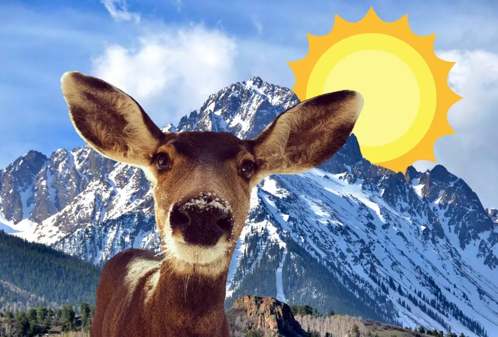 Fact or Fiction? Colorado Has More Sunny Days Than Florida