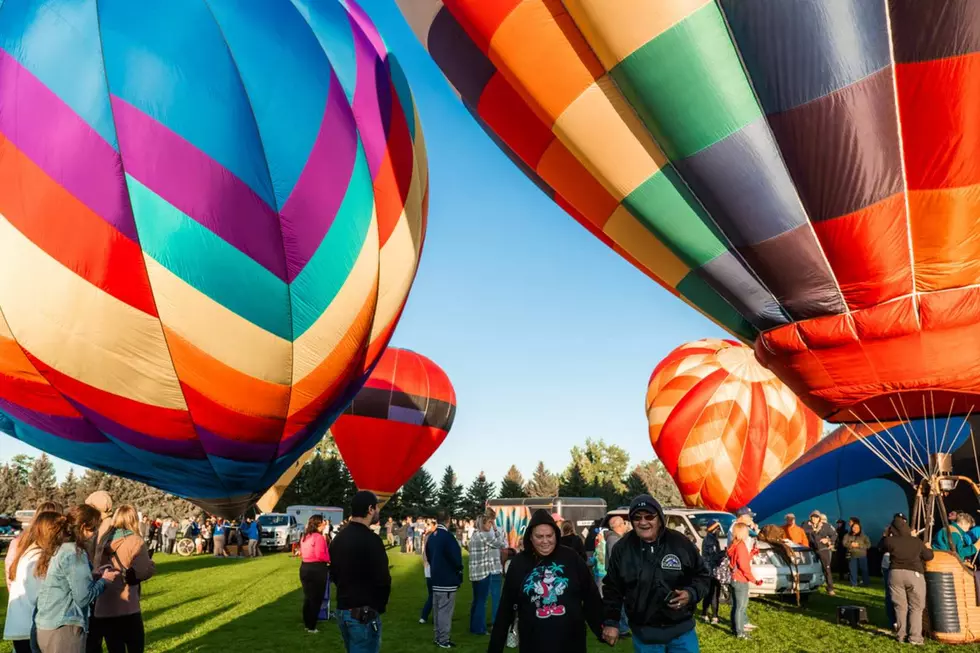 Colorado’s Unique ‘Great Aardvark Embark’ Hot Air Balloon Launch