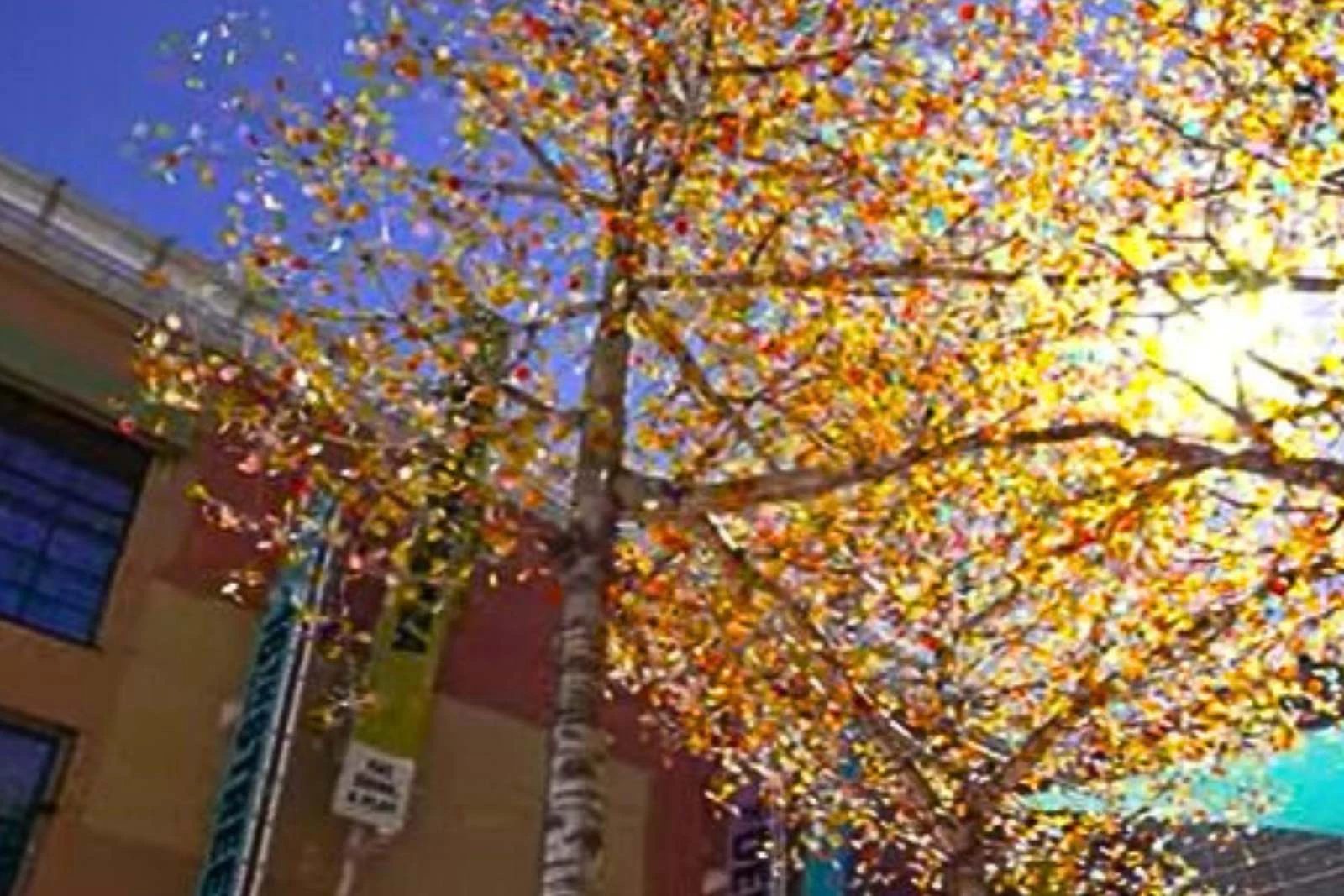 Aspen Light' on 16th Street in Denver - Kinetic Art