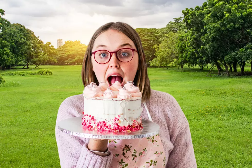Loveland's Annual 'Cake War' - Messy Fun