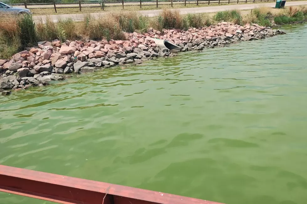Windsor Lake Closes Due to Harmful Algae Blooms