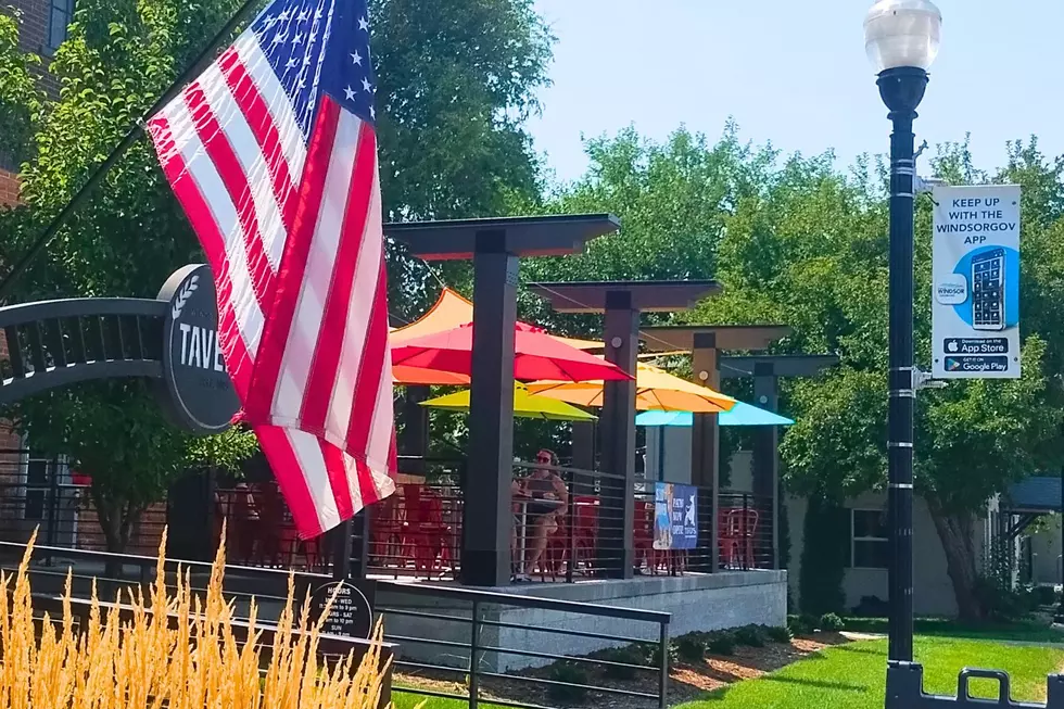Where are the patio bars in Windsor?