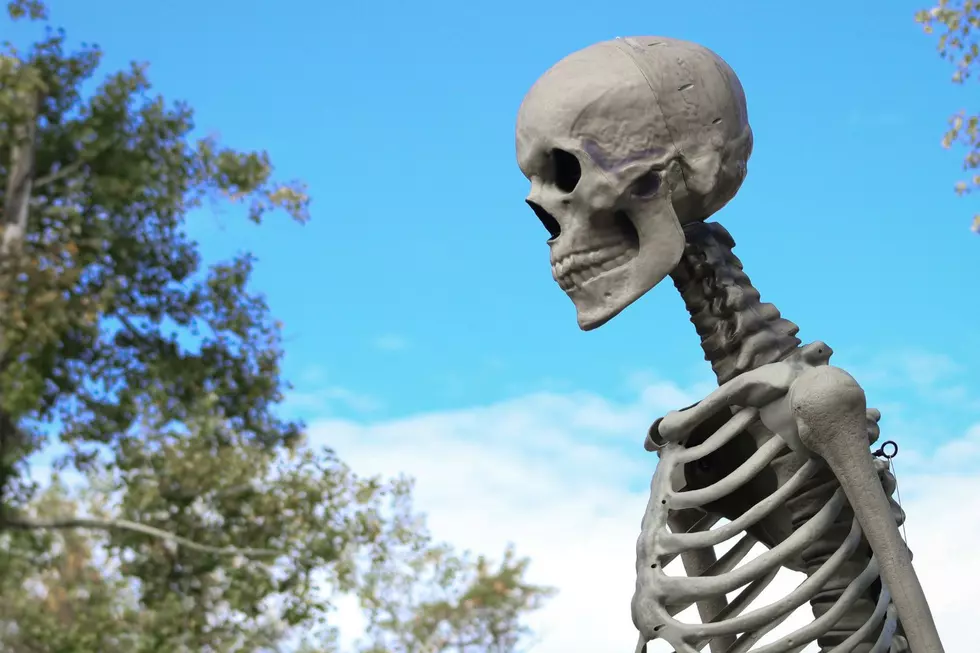 A Great Halloween Display Right Off Lincoln in Loveland is 9 Giant Skeletons Running