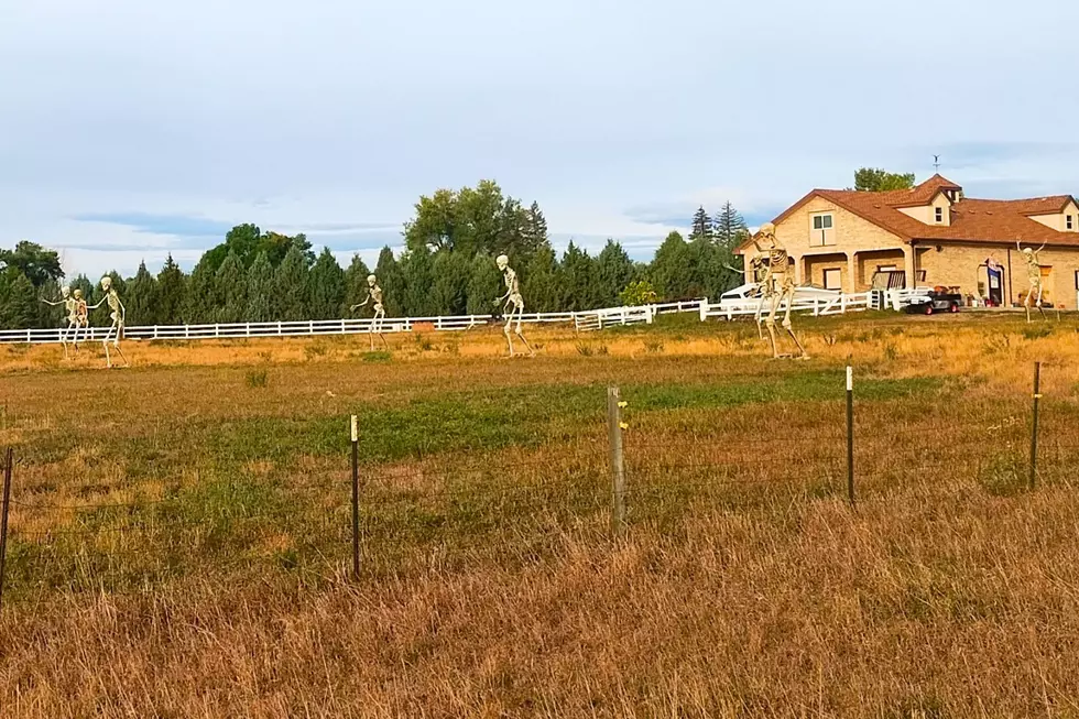 South Loveland Skeletons