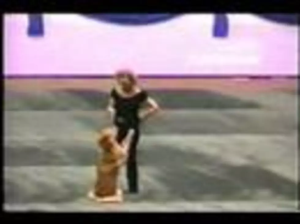 Dancing Dog Partners in Canine Freesyle