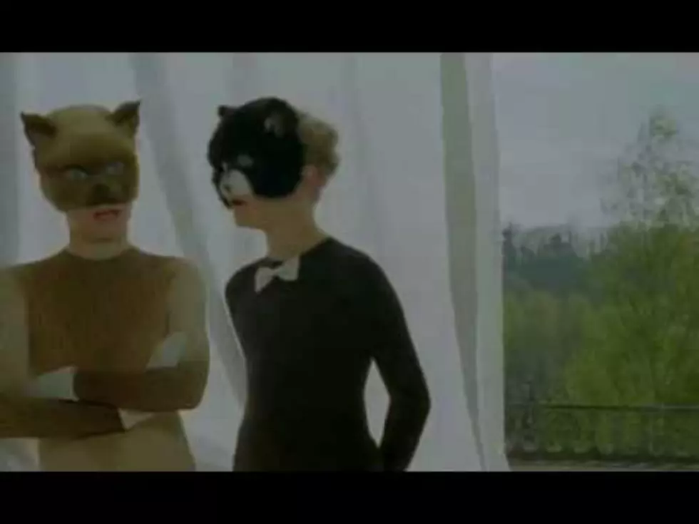 &#8216;Les Duo De Chats&#8217; is an Odd Video, But I Could Not Look Away