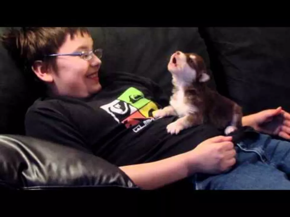Puppy Learning To Howl Is Beyond Cute 