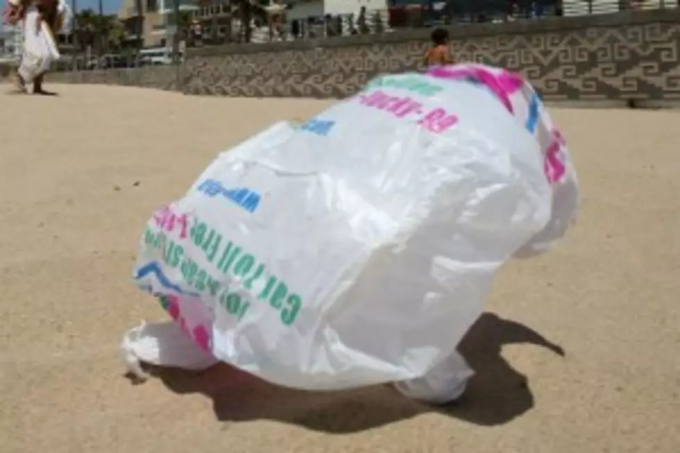 Maine House Votes Down Single-Use Plastic Bag Ban