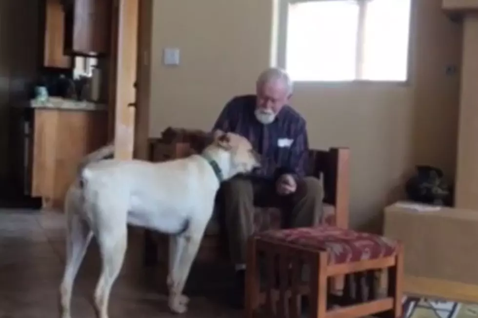 Emotional Video of Non-Verbal Father with Alzheimer’s + a Loving Dog