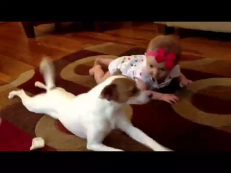 Check Out This Dog Teaching the Baby to Crawl 
