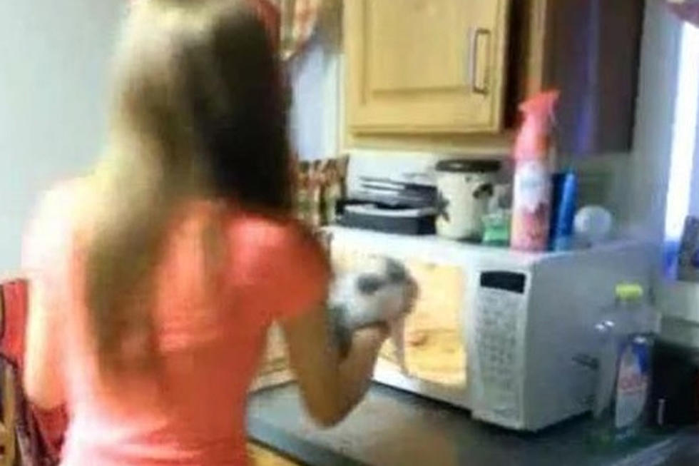 16-Year Old Girls Sentenced in Cat in Microwave Incident