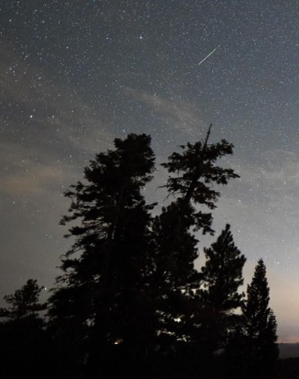 Are You Watching The Leonid Meteor Shower This Week?