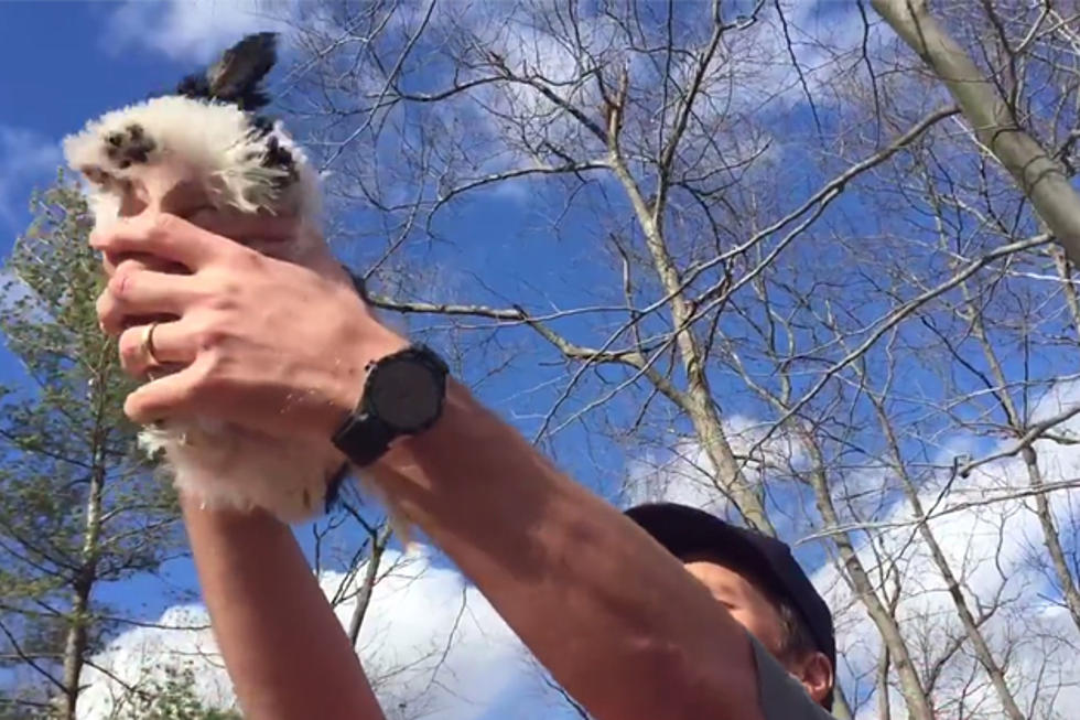 Tom Brady Has a New Puppy + Wins the Internet with Video Introduction
