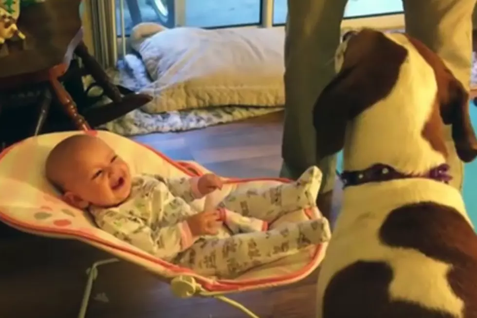 Babies Laughing at Dogs… ‘Nuff Said! [VIDEO]