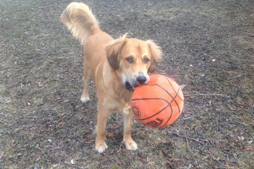 Mac’s Dog Oden Plays Soccer with a Basketball [VIDEO]
