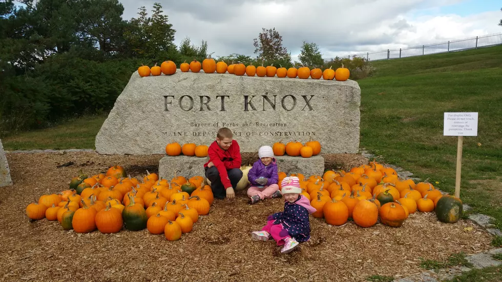Check out Pics Of Cooper’s Visit To Fort Knox (The Maine One…  Not The One With The Gold)