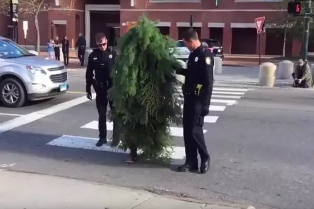Man Dressed As A Tree Blocks Portland Street And KILLS IT In The Costume Game