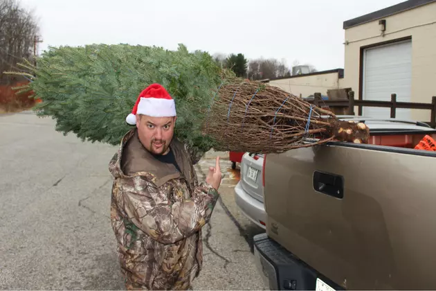 Mainer Matt Decorates The Company Christmas Tree&#8230;As Only He Can