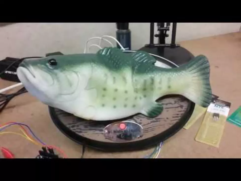 Guy Wires His &#8216;Alexa&#8217; to A Talking Bass. The Result? Day Made.