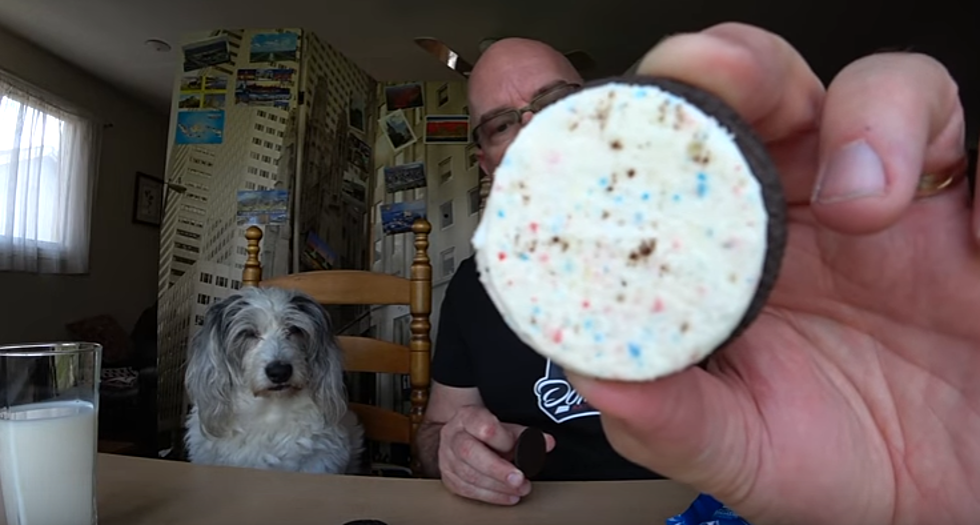 Man And His Dog Do A Taste Test Of Fireworks Oreos