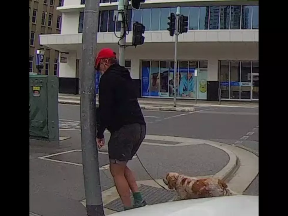 Angry Pedestrian Gets Instant Karma!